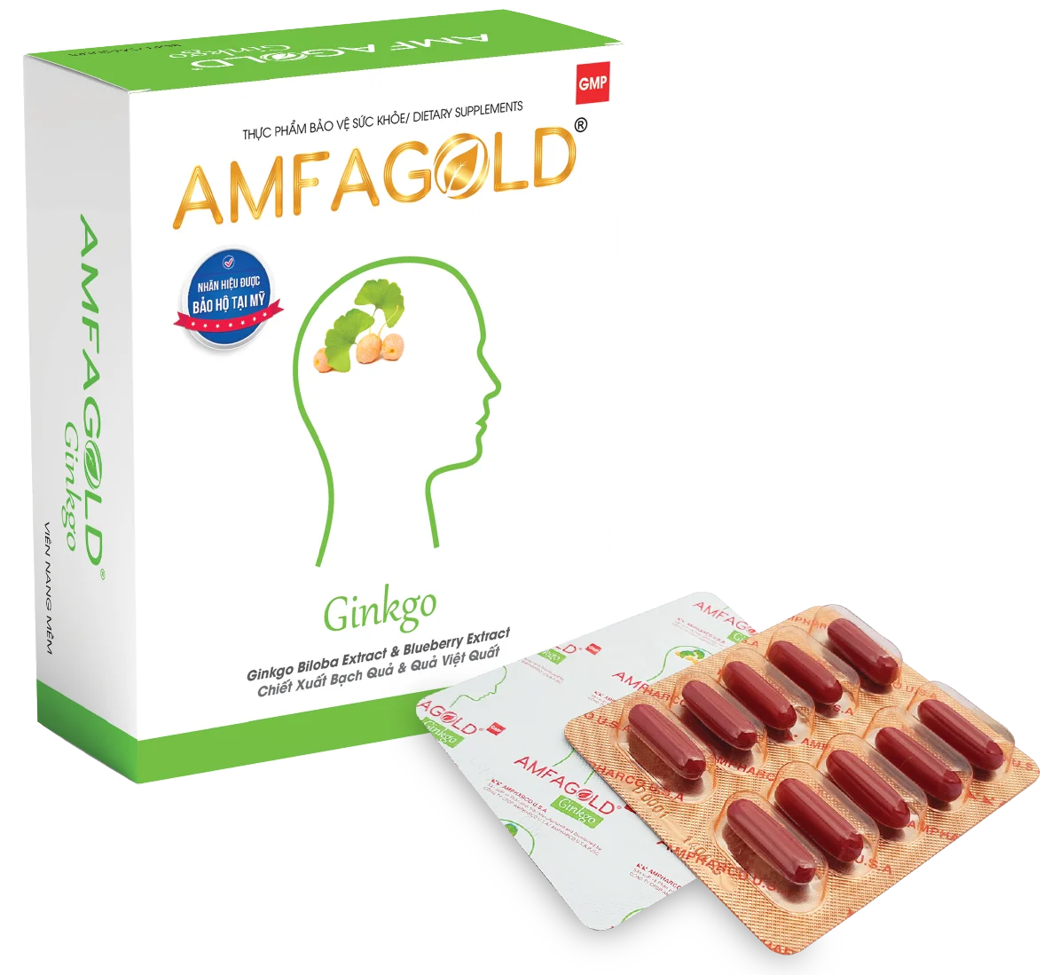 AMFAGOLD GINKGO