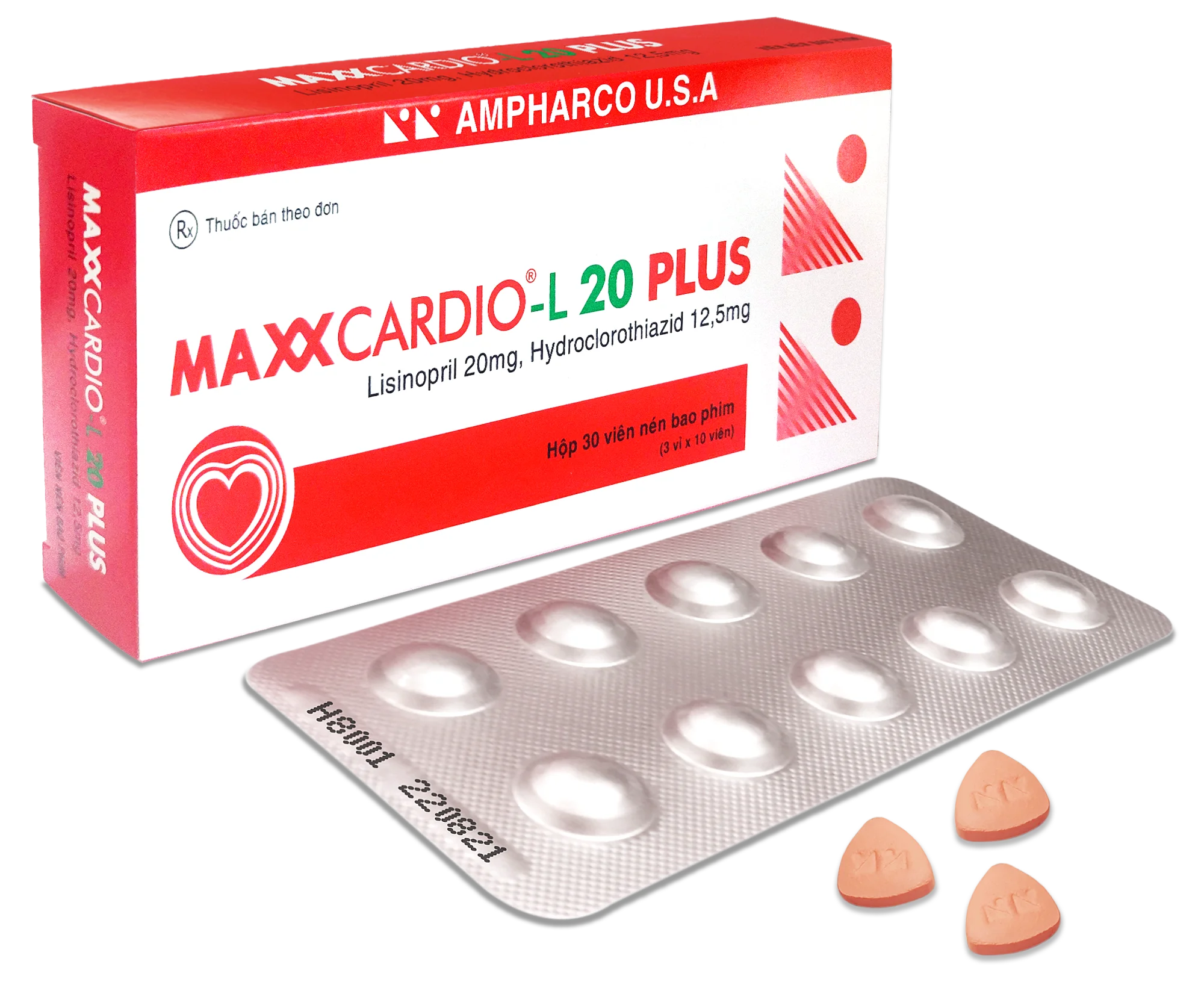 MAXXCARDIO-L 20 PLUS