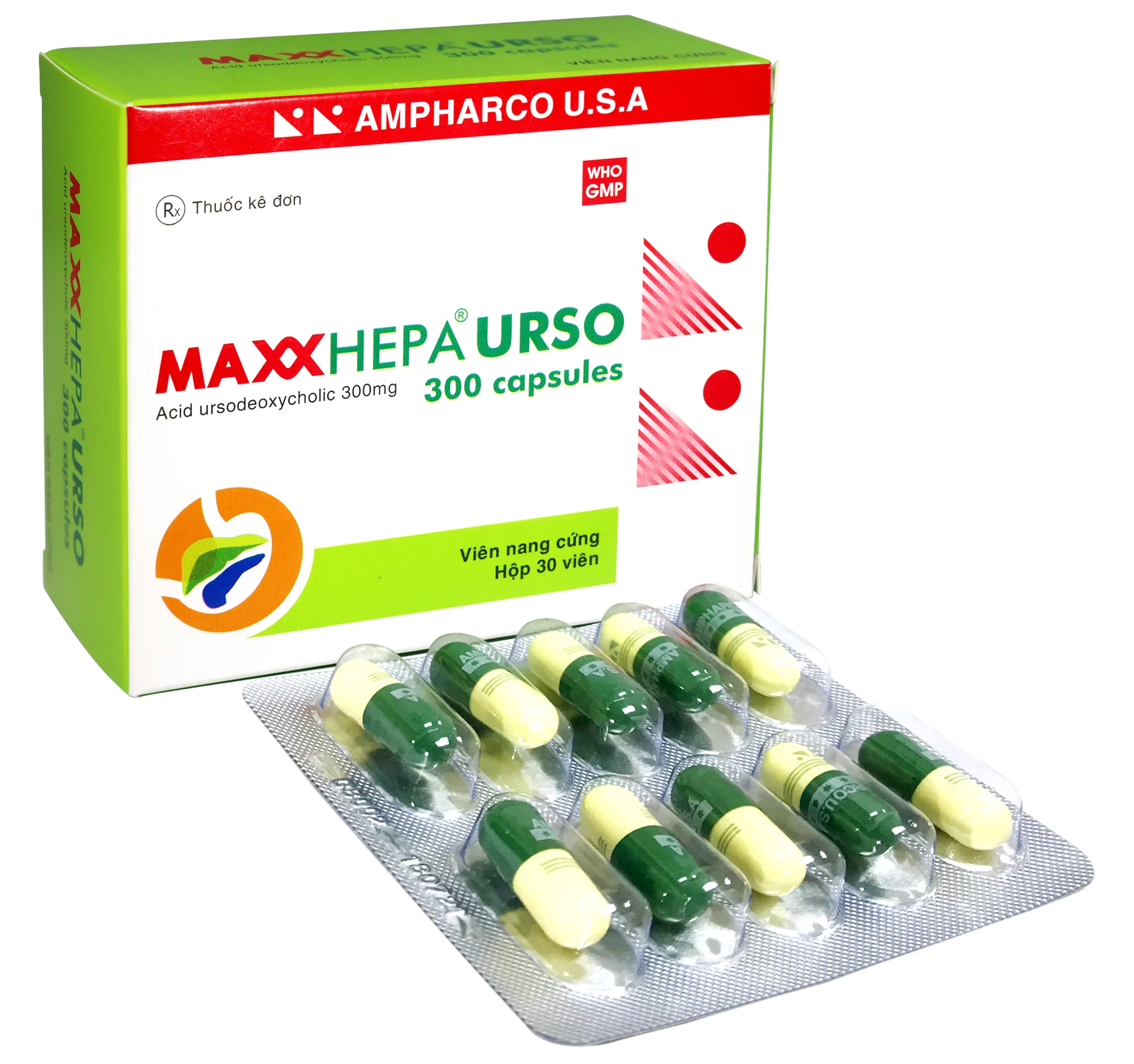 MAXXHEPA URSO 300 capsules