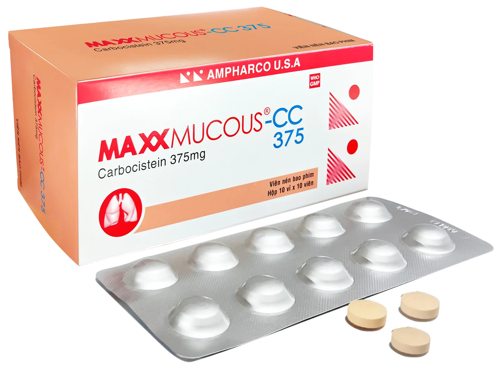 MAXXMUCOUS-CC 375